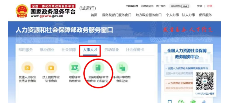 职称在全国12333查询信息的操作流程(图8)